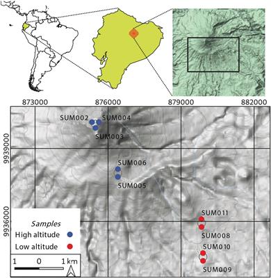Soil Bacterial Community Along an Altitudinal Gradient in the Sumaco, a Stratovolcano in the Amazon Region
